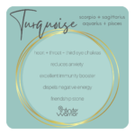 Matte Tiger Eye Bracelet | Bright Turquoise